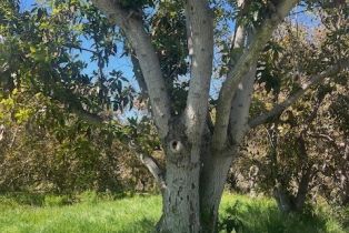 , 2501 Via Rancheros way, Fallbrook, CA 92028 - 2