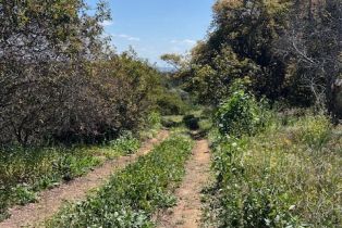 , 2501 Via Rancheros way, Fallbrook, CA 92028 - 3