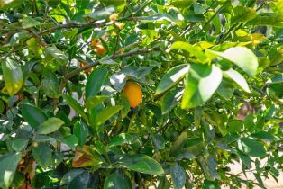 Single Family Residence, 30848 Long Point dr, Canyon Lake, CA 92587 - 34