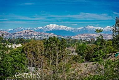 , 1941 Skyline dr, Fullerton, CA 92831 - 1