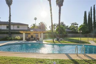 Single Family Residence, 251 Le Roy ave, Arcadia , CA 91007 - 23