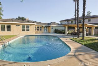 Single Family Residence, 251 Le Roy ave, Arcadia , CA 91007 - 27