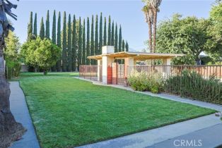 Single Family Residence, 251 Le Roy ave, Arcadia , CA 91007 - 29