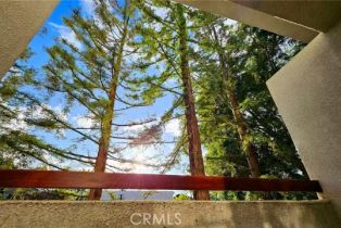 Condominium, 500 Del Mar blvd, Pasadena, CA 91101 - 23