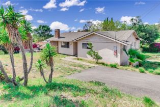 Single Family Residence, 1360 Fallbrook st, Fallbrook, CA 92028 - 3