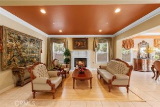 Single Family Residence, 17265 Blue Spruce ln, Yorba Linda, CA 92886 - 10