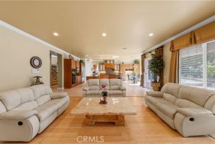 Single Family Residence, 17265 Blue Spruce ln, Yorba Linda, CA 92886 - 21
