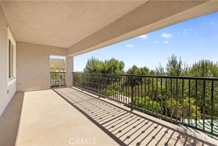 Single Family Residence, 17265 Blue Spruce ln, Yorba Linda, CA 92886 - 28