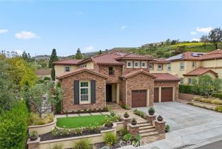 Single Family Residence, 20113 Umbria way, Yorba Linda, CA 92886 - 6