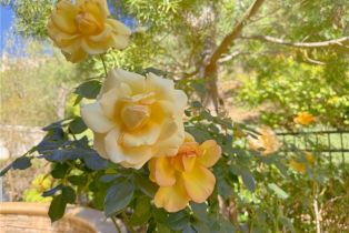 Single Family Residence, 18 Renata, Newport Coast, CA 92657 - 19