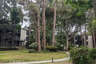 Condominium, 8640 Gulana ave, Playa Del Rey , CA 90293 - 24