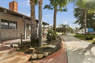 Single Family Residence, 900 Santa Ana blvd, Oak View, CA 93022 - 11