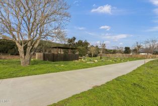 Single Family Residence, 900 Santa Ana blvd, Oak View, CA 93022 - 5