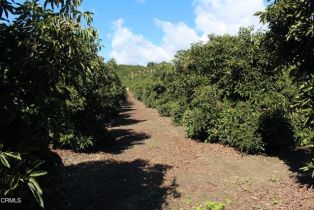 Land, 13922 Foothill RD, Santa Paula, CA  Santa Paula, CA 93060