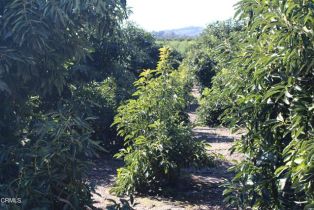 Single Family Residence, 13922 Foothill rd, Santa Paula, CA 93060 - 58