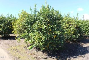 Single Family Residence, 13922 Foothill rd, Santa Paula, CA 93060 - 62