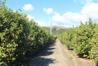 Single Family Residence, 13922 Foothill rd, Santa Paula, CA 93060 - 64