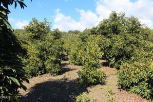 Single Family Residence, 13922 Foothill rd, Santa Paula, CA 93060 - 67