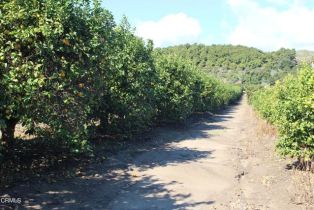 Single Family Residence, 13922 Foothill rd, Santa Paula, CA 93060 - 69