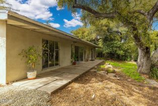 Single Family Residence, 910 Spring st, Oak View, CA 93022 - 17