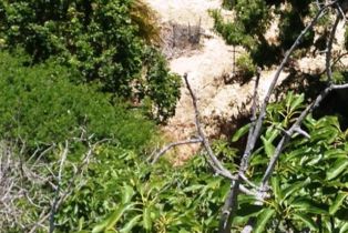 , 1678 Buena Vista st, Ventura, CA 93001 - 10