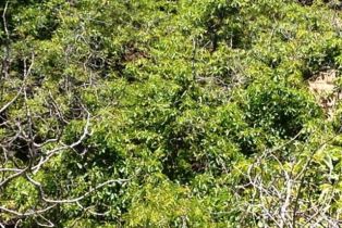 , 1678 Buena Vista st, Ventura, CA 93001 - 19