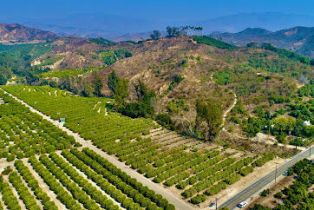 Land, 0 Foothill RD, Santa Paula, CA  Santa Paula, CA 93060