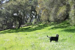 , 0 Burnham rd, Ojai, CA 93023 - 2