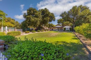 Single Family Residence, 1288 Rice rd, Ojai, CA 93023 - 16
