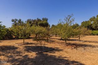 Single Family Residence, 1288 Rice rd, Ojai, CA 93023 - 19