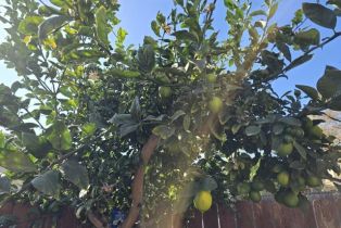 Condominium, 7317 Unicorn cir, Ventura, CA 93003 - 21