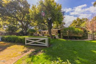 Single Family Residence, 708 Cuyama rd, Ojai, CA 93023 - 34