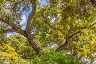 Single Family Residence, 708 Cuyama rd, Ojai, CA 93023 - 35