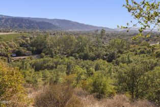 Single Family Residence, 1519 Ayers ave, Ojai, CA 93023 - 67