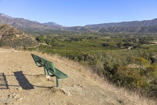 Single Family Residence, 1519 Ayers ave, Ojai, CA 93023 - 69