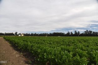 , 3425 Wright rd, Camarillo, CA 93010 - 13