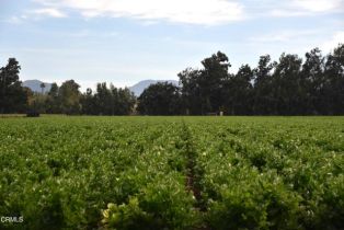 , 3425 Wright rd, Camarillo, CA 93010 - 3