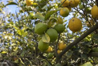 , 0 Laguna rd, Oxnard, CA 93033 - 19