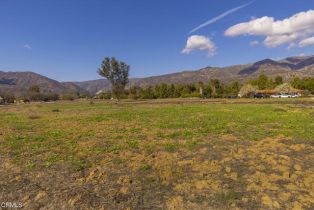 , 1400 Maricopa hwy, Ojai, CA 93023 - 12