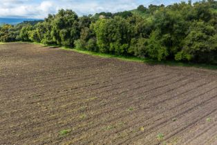 Single Family Residence, 1259 Alamo Pintado rd, Solvang, CA 93463 - 53