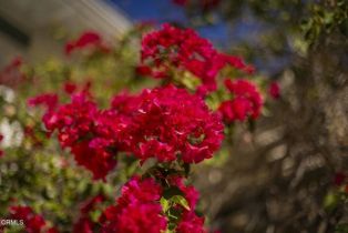 Single Family Residence, 1280 Avila dr, Ojai, CA 93023 - 20