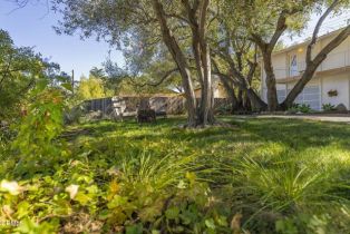 Single Family Residence, 1280 Avila dr, Ojai, CA 93023 - 32