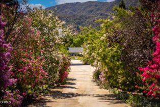 Single Family Residence, 741 Saddle ln, Ojai, CA 93023 - 2