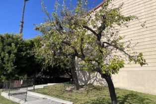 Condominium, 4857 Loma Vista rd, Ventura, CA 93003 - 3