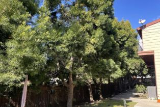 Condominium, 4857 Loma Vista rd, Ventura, CA 93003 - 7