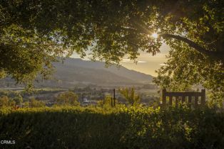 Single Family Residence, 10525 Ojai Santa Paula rd, Ojai, CA 93023 - 23