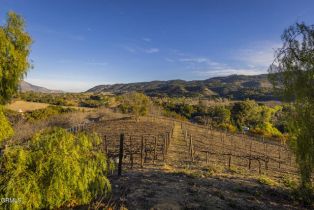 Single Family Residence, 10525 Ojai Santa Paula rd, Ojai, CA 93023 - 24