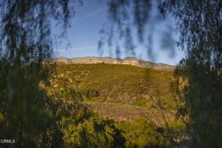 Single Family Residence, 10525 Ojai Santa Paula rd, Ojai, CA 93023 - 25