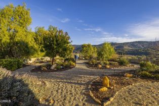 Single Family Residence, 10525 Ojai Santa Paula rd, Ojai, CA 93023 - 34