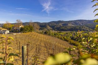 Single Family Residence, 10525 Ojai Santa Paula rd, Ojai, CA 93023 - 41